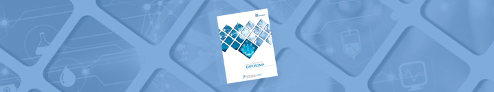 Leer informe completo