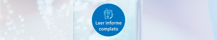 Leer informe completo