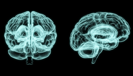 Se identifica un nuevo gen que podría estar vinculado a la ELA