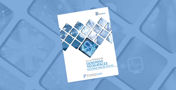 Leer informe completo