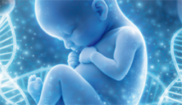 Genomas neonatales en la Medicina del Futuro