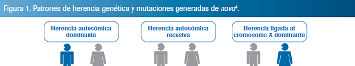 Leer informe completo