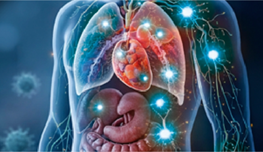 Inmunidad e inflamación en la Medicina del Futuro