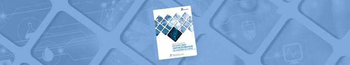 Leer informe completo