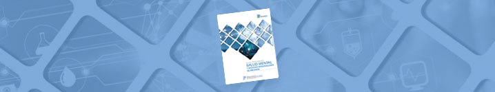 Leer informe completo