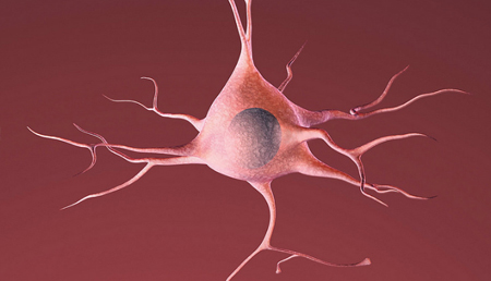 Diseñan un modelo celular para estudiar la relación entre enfermedades neurodegenerativas