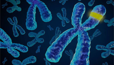 Tratamiento y resultados en cáncer de próstata mCRPC con y sin alteraciones en genes de reparación del ADN