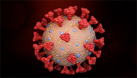 NFkB y los inflamasomas regulan la respuesta de los monocitos al SARS-CoV-2
