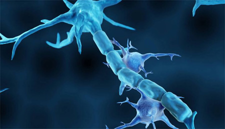 Análisis de la inmunidad tras la vacuna contra el SARS-CoV-2 en pacientes con esclerosis múltiple tratados con fármacos inmunomoduladores.