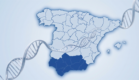 Andalucía aprueba su Estrategia de Salud Digital 2030 para transformar los servicios y la gestión del dato sanitario