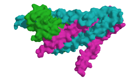 Asocian niveles de troponina postoperatoria con mayor mortalidad a los 30 días